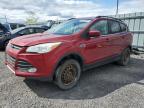 2014 FORD ESCAPE SE   for sale at Copart ON - OTTAWA