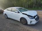2019 HYUNDAI ELANTRA SE   à vendre chez Copart ON - COOKSTOWN