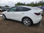 2023 TESLA MODEL Y    à vendre chez Copart ON - TORONTO