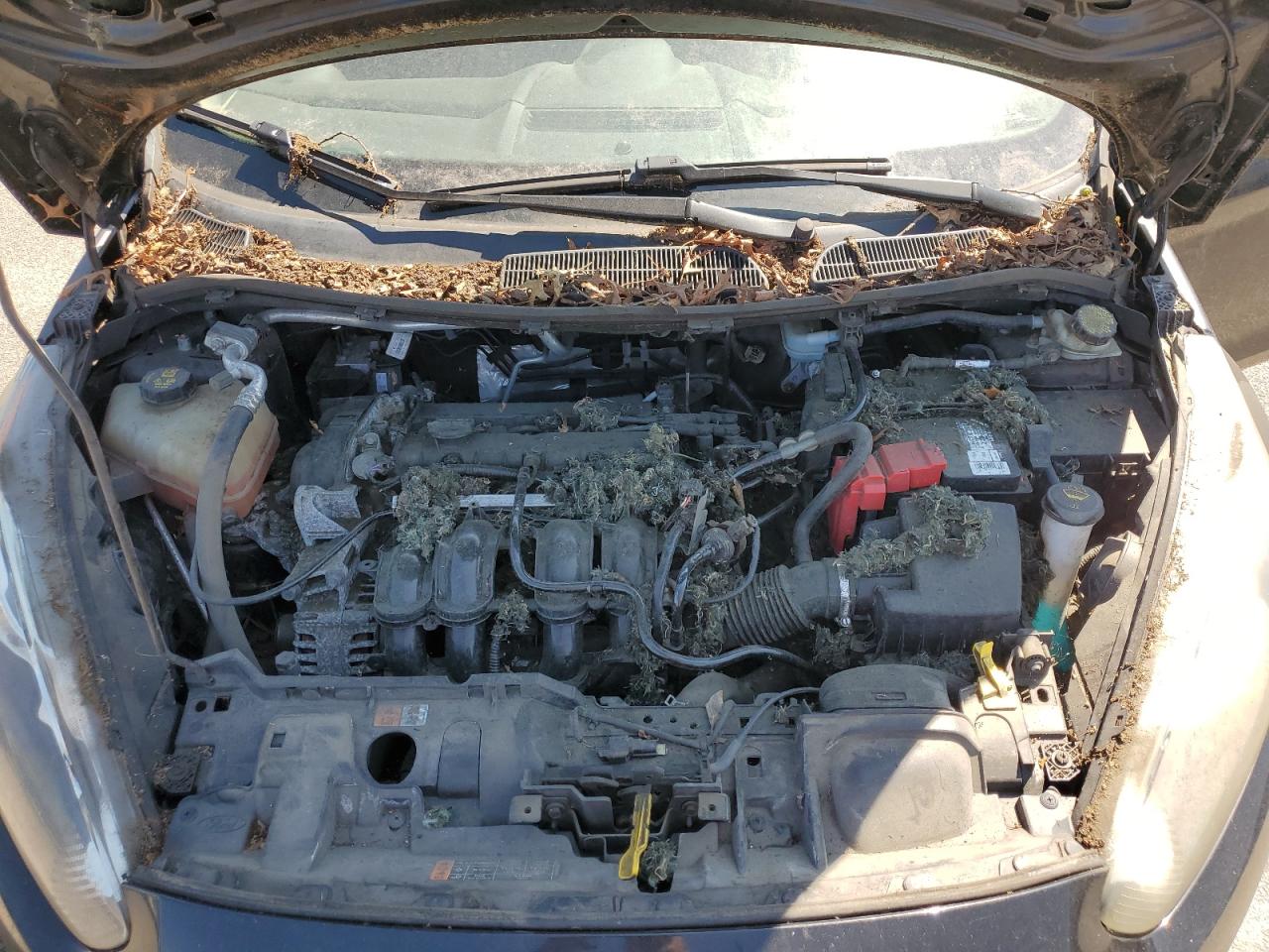 2015 Ford Fiesta S VIN: 3FADP4AJ7FM202440 Lot: 66294705