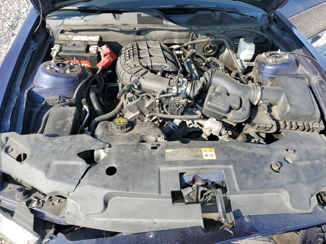 2012 Ford Mustang VIN: 1ZVBP8AM3C5265665 Lot: 69703165