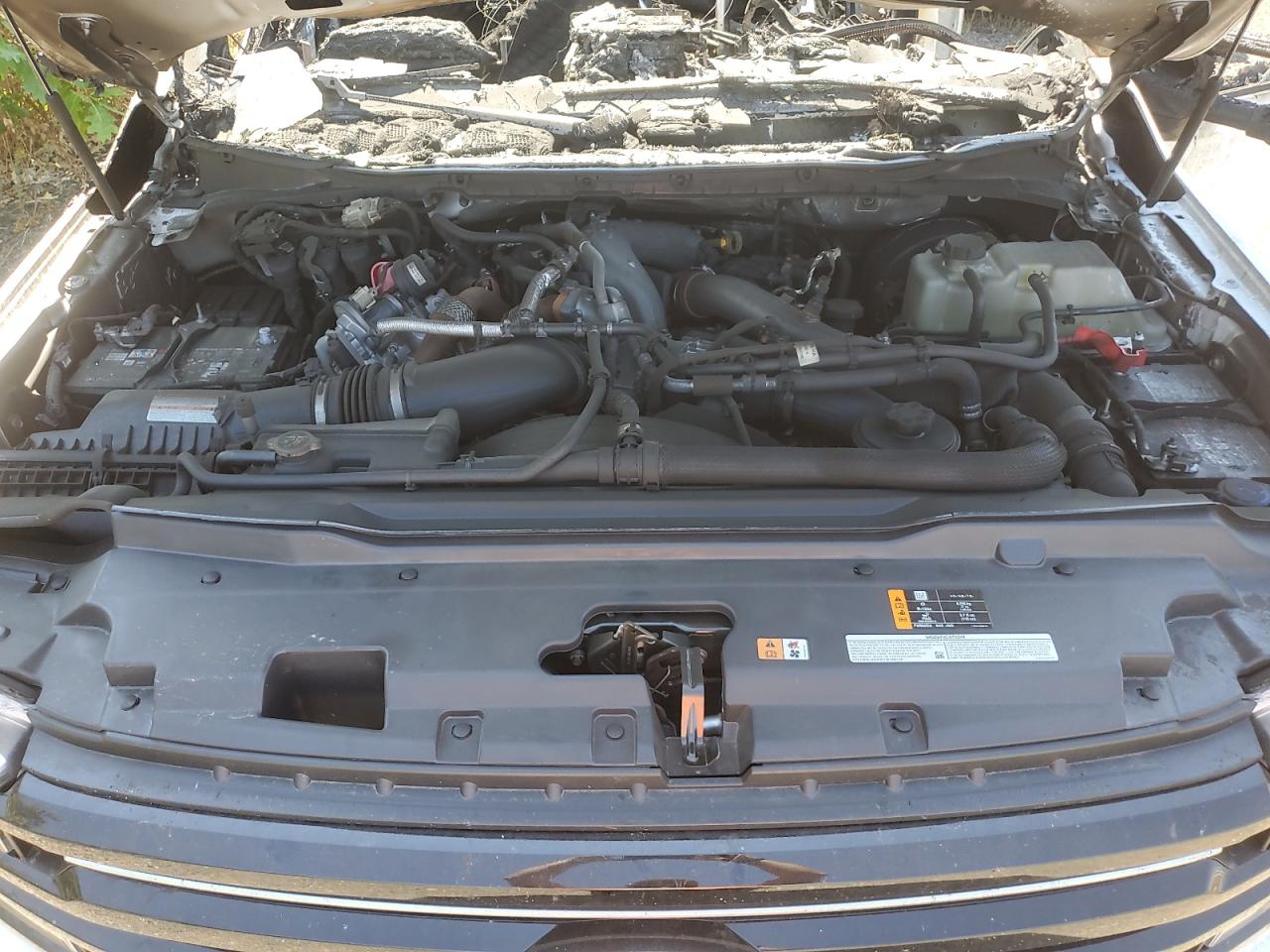 2025 Ford F250 Super Duty VIN: 1FT8W2BM4SEC80315 Lot: 69696775