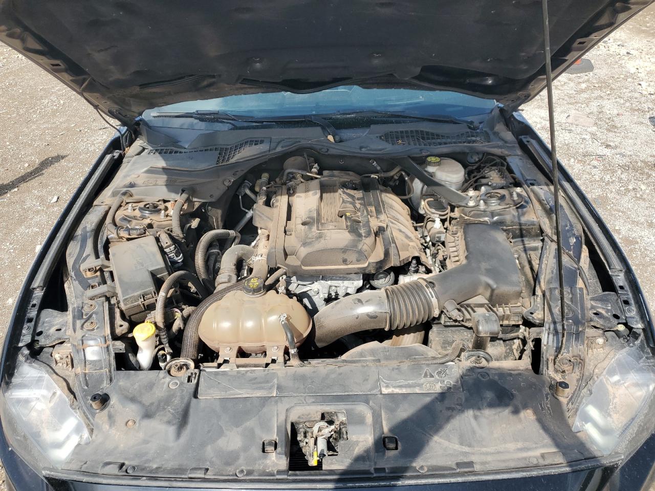 2019 Ford Mustang VIN: 1FATP8UH7K5149993 Lot: 69288515