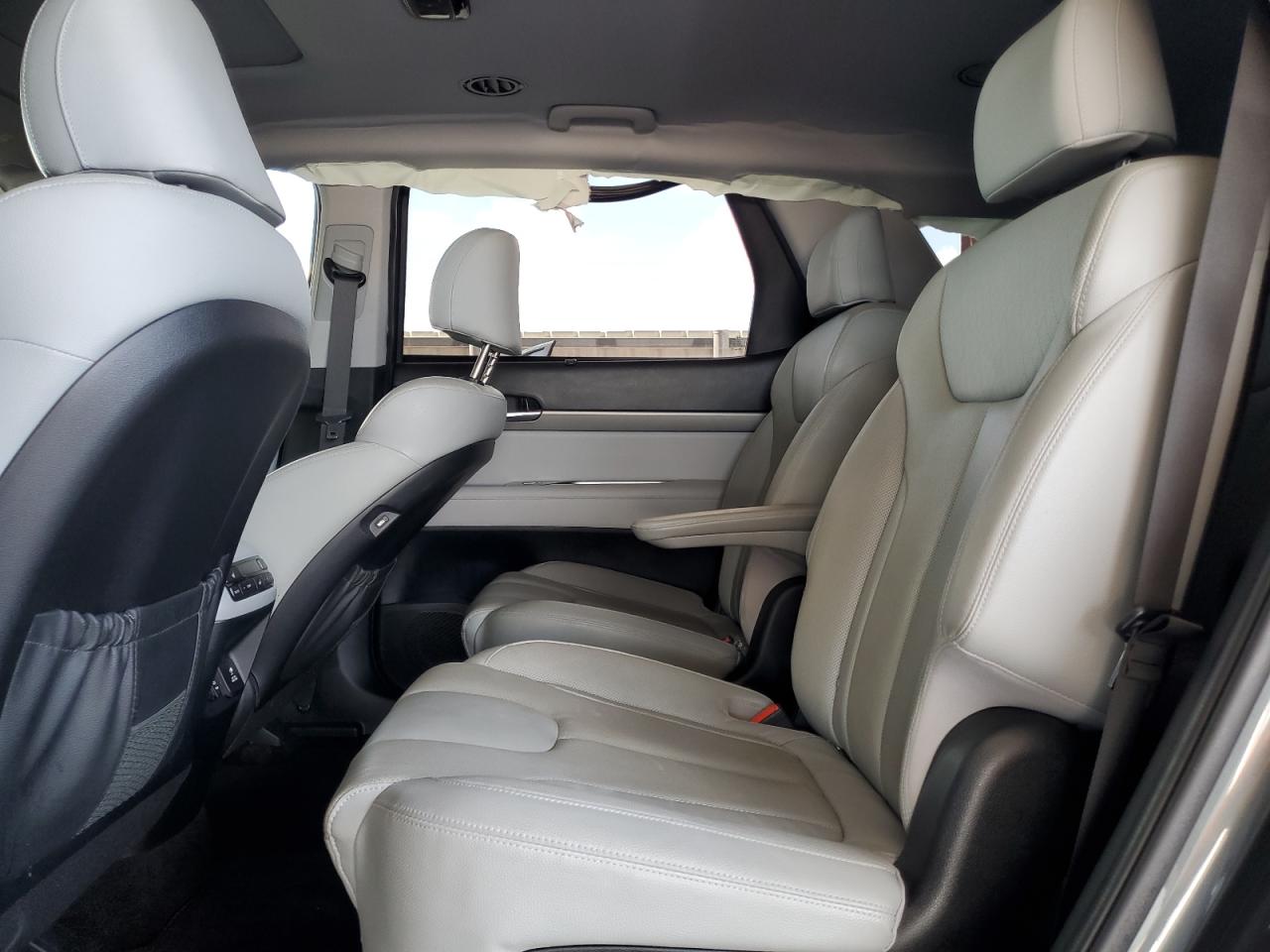 2022 Hyundai Palisade Sel VIN: KM8R44HE5NU389412 Lot: 69570395