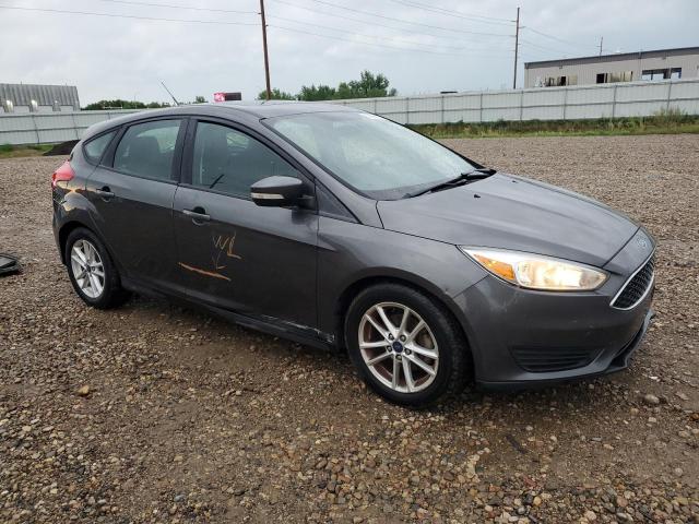  FORD FOCUS 2016 Серый