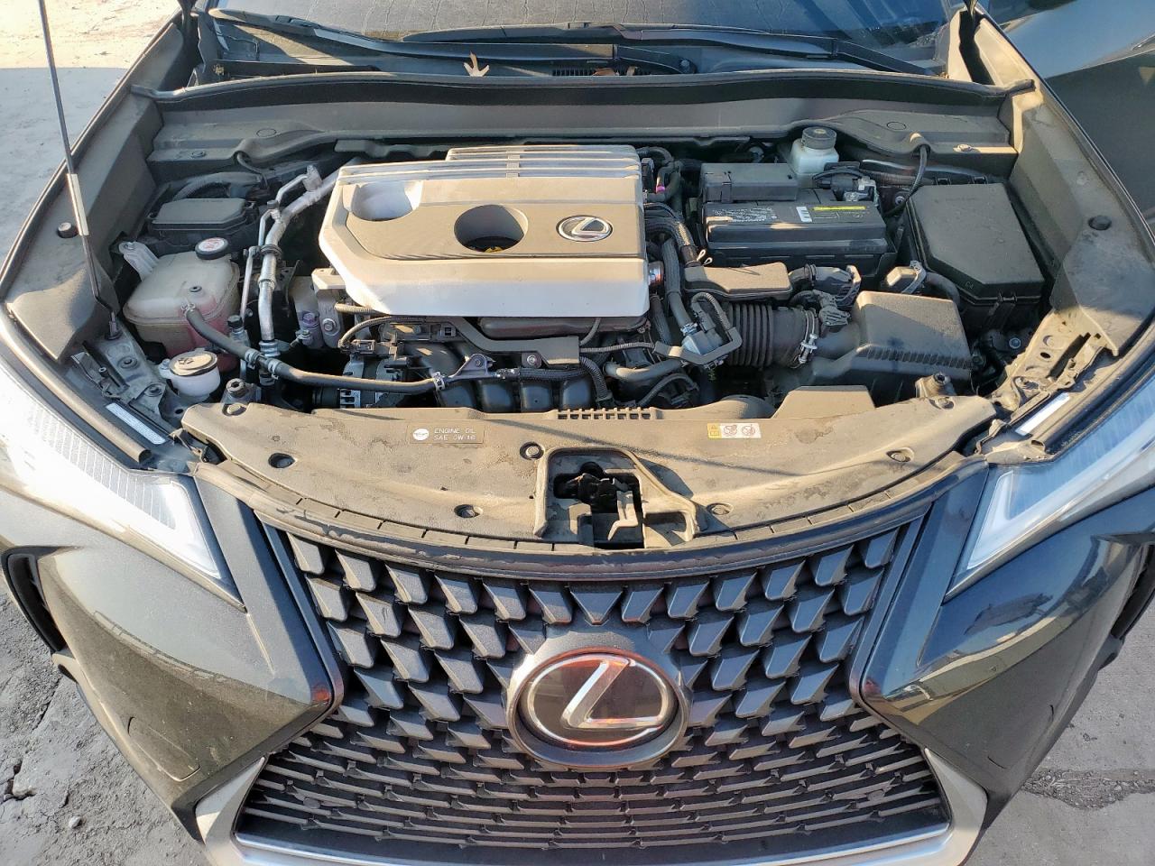 2019 Lexus Ux 200 VIN: JTHY3JBHXK2006770 Lot: 68099085