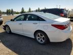 2013 HYUNDAI SONATA SE   à vendre chez Copart AB - CALGARY