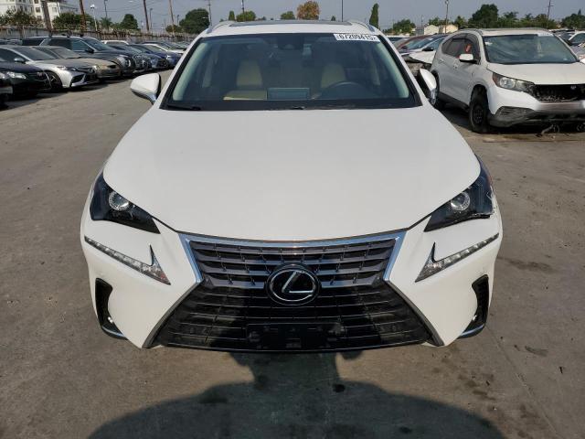  LEXUS NX 2020 Белы