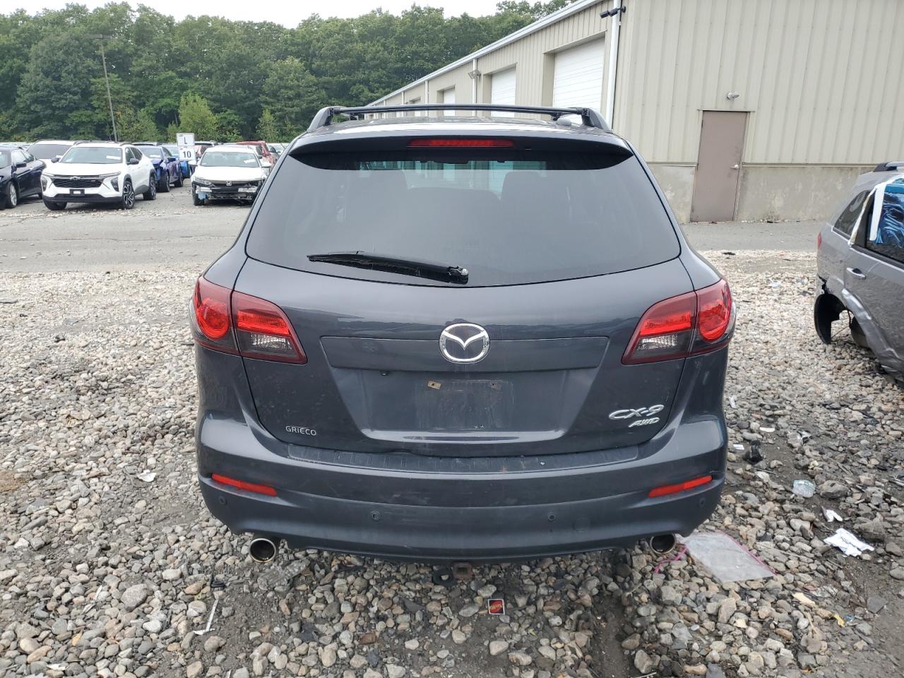 2014 Mazda Cx-9 Touring VIN: JM3TB3CV1E0442459 Lot: 66581985