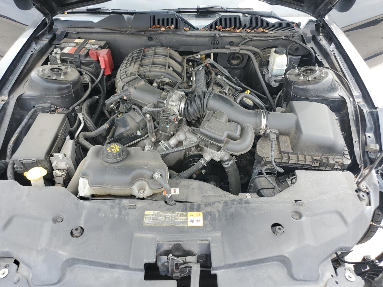 2012 Ford Mustang VIN: 1ZVBP8AM8C5250417 Lot: 70673065