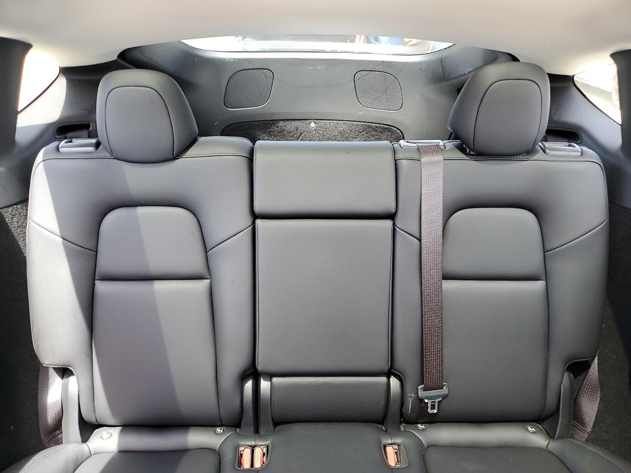 2024 Tesla Model Y VIN: 7SAYGDED8RF117912 Lot: 69319055