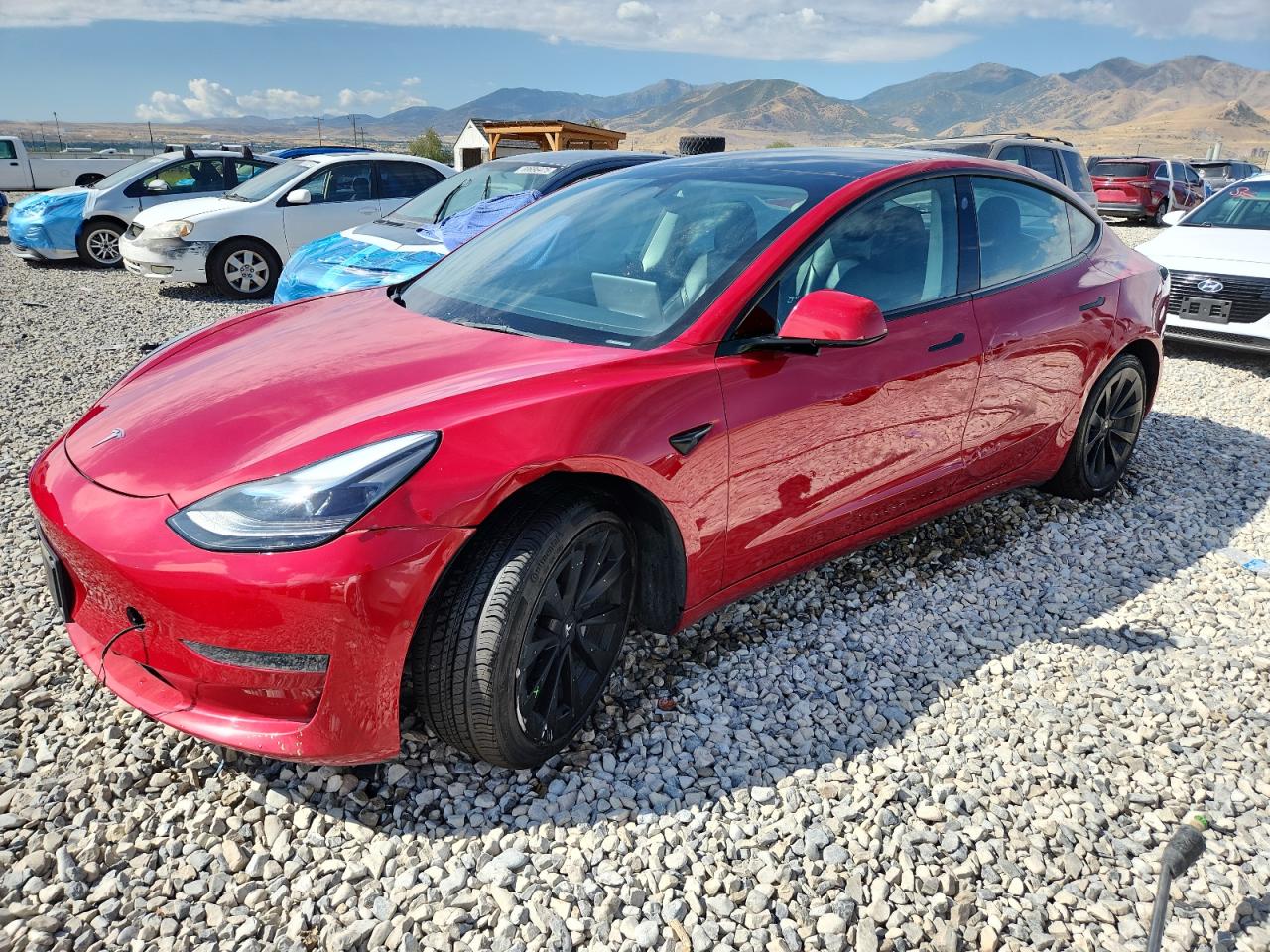 Vehicle photo