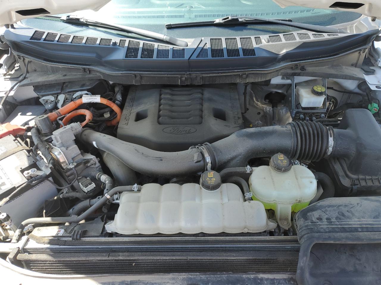 2021 Ford F150 Supercrew VIN: 1FTFW1ED7MFB33156 Lot: 70313325