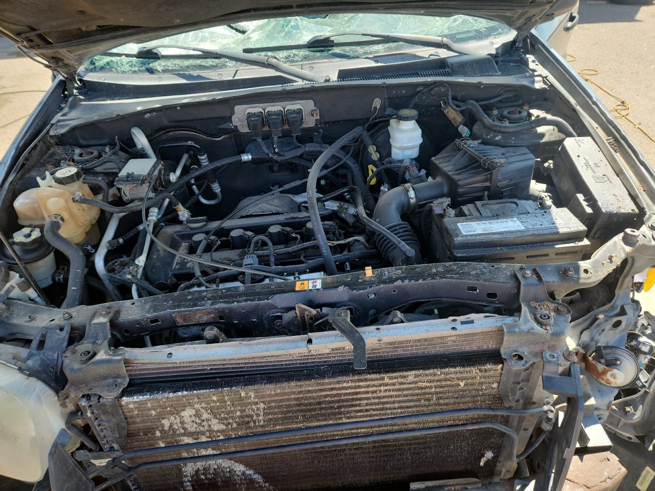 2006 Ford Escape Xlt VIN: 1FMYU03Z06KA46731 Lot: 69224105