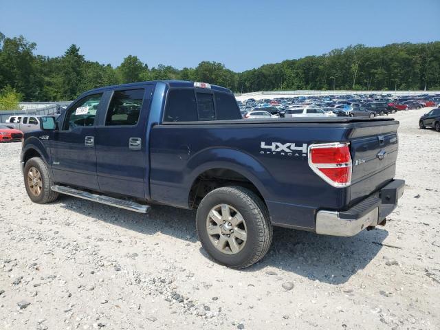  FORD F-150 2013 Blue