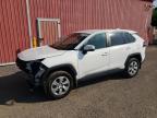 2025 TOYOTA RAV4 LE   for sale at Copart ON - LONDON