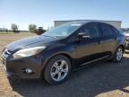 2013 FORD FOCUS SE   for sale at Copart AB - CALGARY