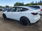 2023 TESLA MODEL Y    à vendre chez Copart ON - TORONTO