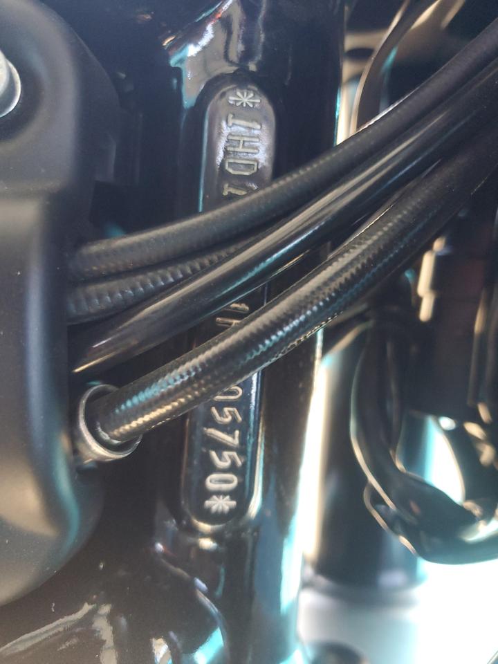 2015 Harley-Davidson Vrscdx Night Rod Special VIN: 1HD1HHH31FC805750 Lot: 69383855