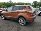 2017 FORD ESCAPE SE   à vendre chez Copart CT - HARTFORD SPRINGFIELD