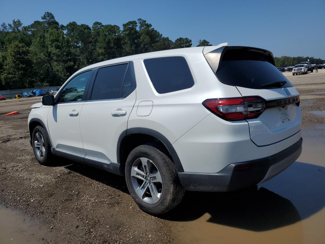 2023 Honda Pilot Exl white null gas 5FNYG2H55PB008875 photo #3