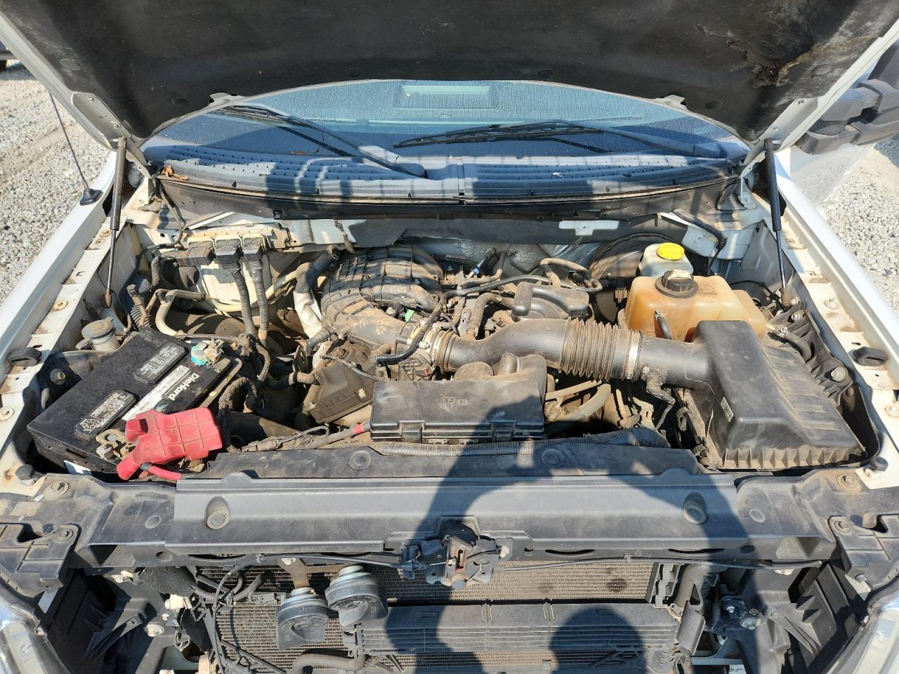 2014 Ford F150 Super Cab VIN: 1FTEX1CM8EFB14161 Lot: 69219245