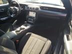2019 FORD MUSTANG GT   à vendre chez Copart NB - MONCTON
