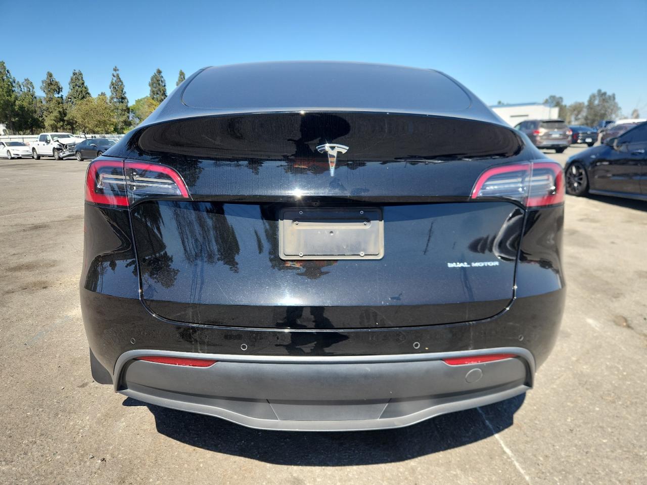 2022 Tesla Model Y VIN: 7SAYGAEE4NF559698 Lot: 69386405