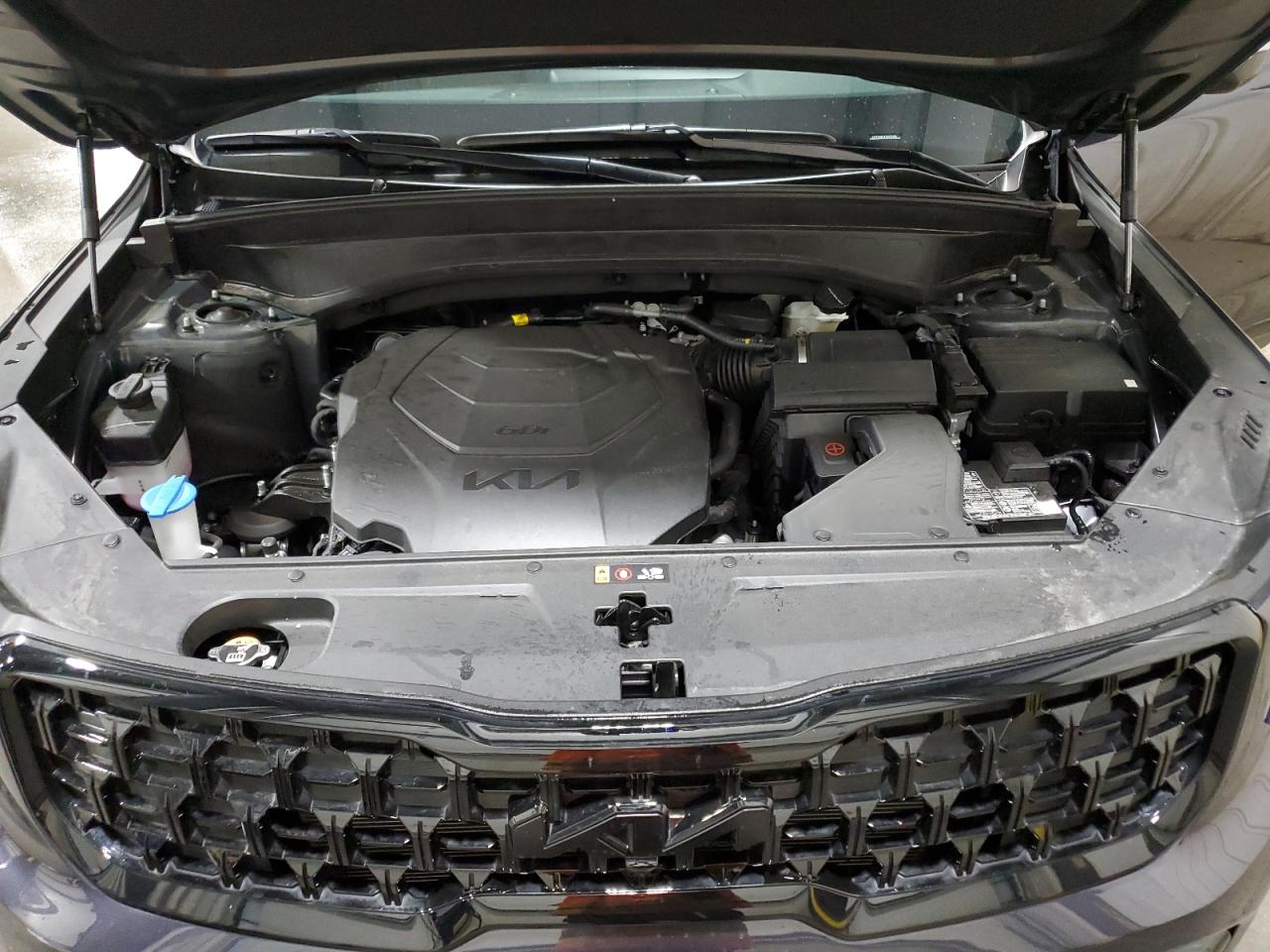 2025 Kia Telluride Sx VIN: 5XYP5DGC2SG569484 Lot: 68142995