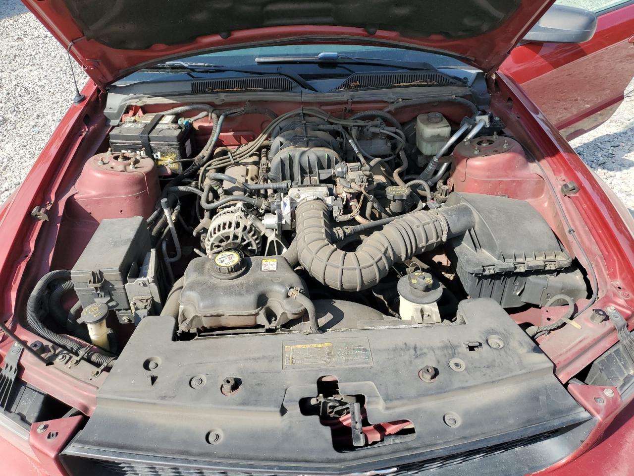 2008 Ford Mustang VIN: 1ZVHT80N785133063 Lot: 63800785