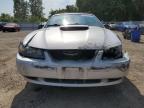2001 FORD MUSTANG GT   à vendre chez Copart ON - LONDON