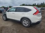 2014 HONDA CR-V TOURING   for sale at Copart ON - TORONTO