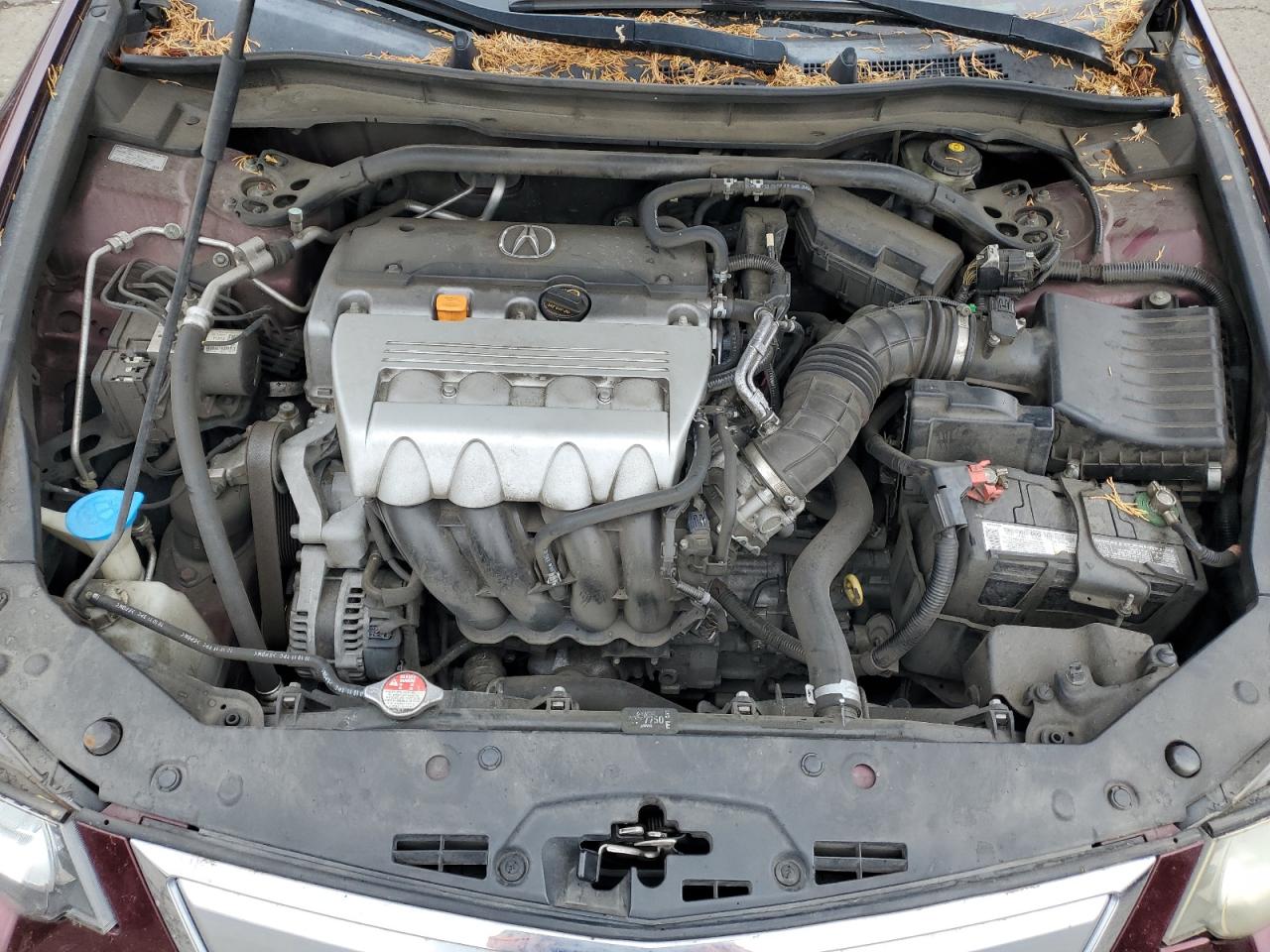 2012 Acura Tsx VIN: JH4CU2F45CC020124 Lot: 67138175