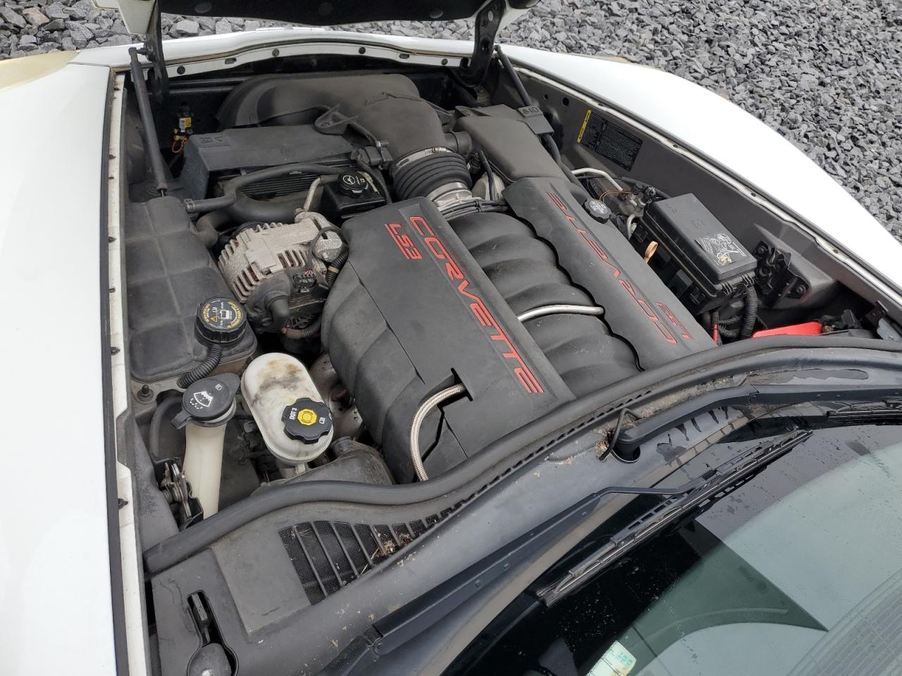 2008 Chevrolet Corvette VIN: 1G1YY26WX85120219 Lot: 67226905