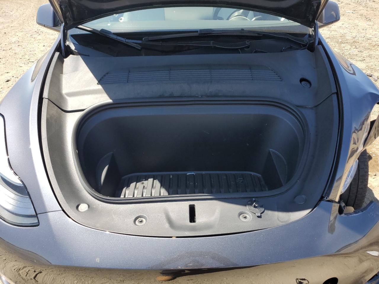 2023 Tesla Model Y VIN: 7SAYGDEE1PF829815 Lot: 69322795