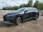 2023 LEXUS RX 350 BASE   for sale at Copart ON - COOKSTOWN