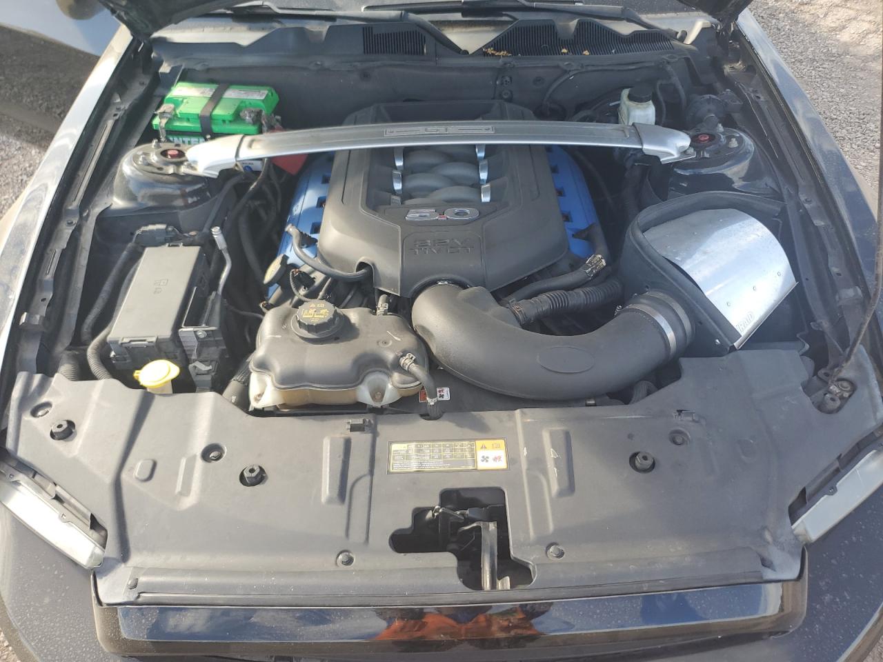 2013 Ford Mustang Gt VIN: 1ZVBP8CF5D5284542 Lot: 69672645