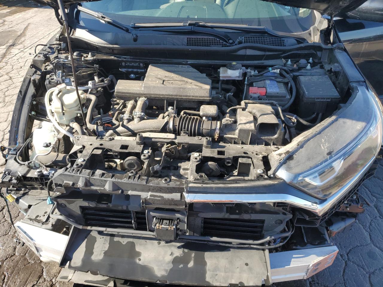 2022 Honda Cr-V Exl VIN: 7FARW2H89NE003990 Lot: 70188635