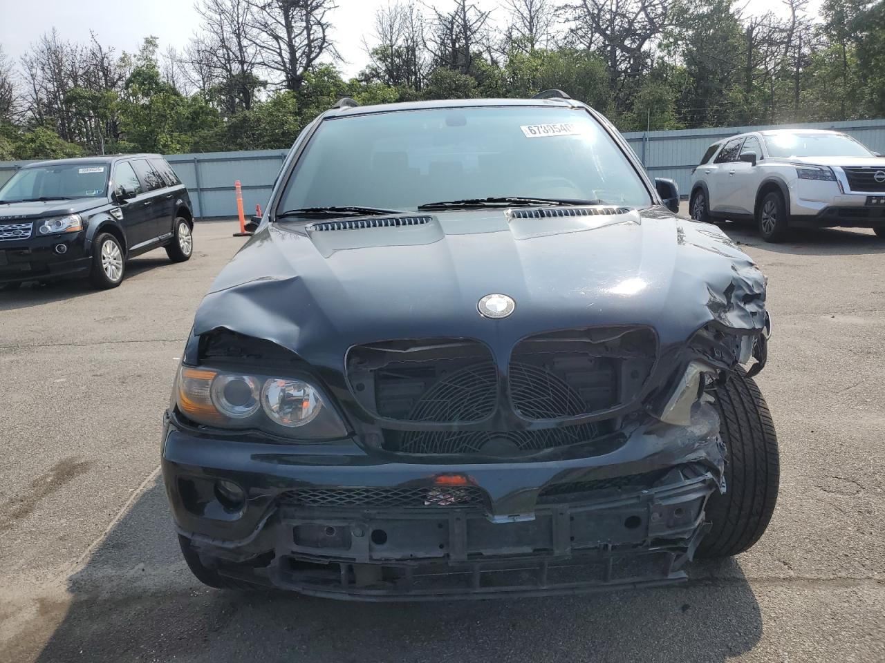 Фото: 5UXFA13575LY16664