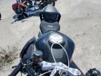 2024 CF MOTO 450SS    for sale at Copart FL - ORLANDO NORTH