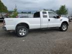 2008 FORD F250 SUPER DUTY   à vendre chez Copart ON - LONDON