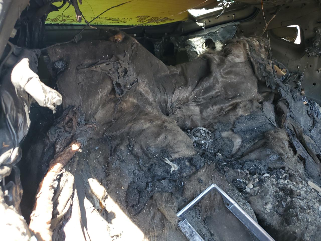 2018 Nissan 370Z Base VIN: JN1AZ4EH7JM570512 Lot: 70543195