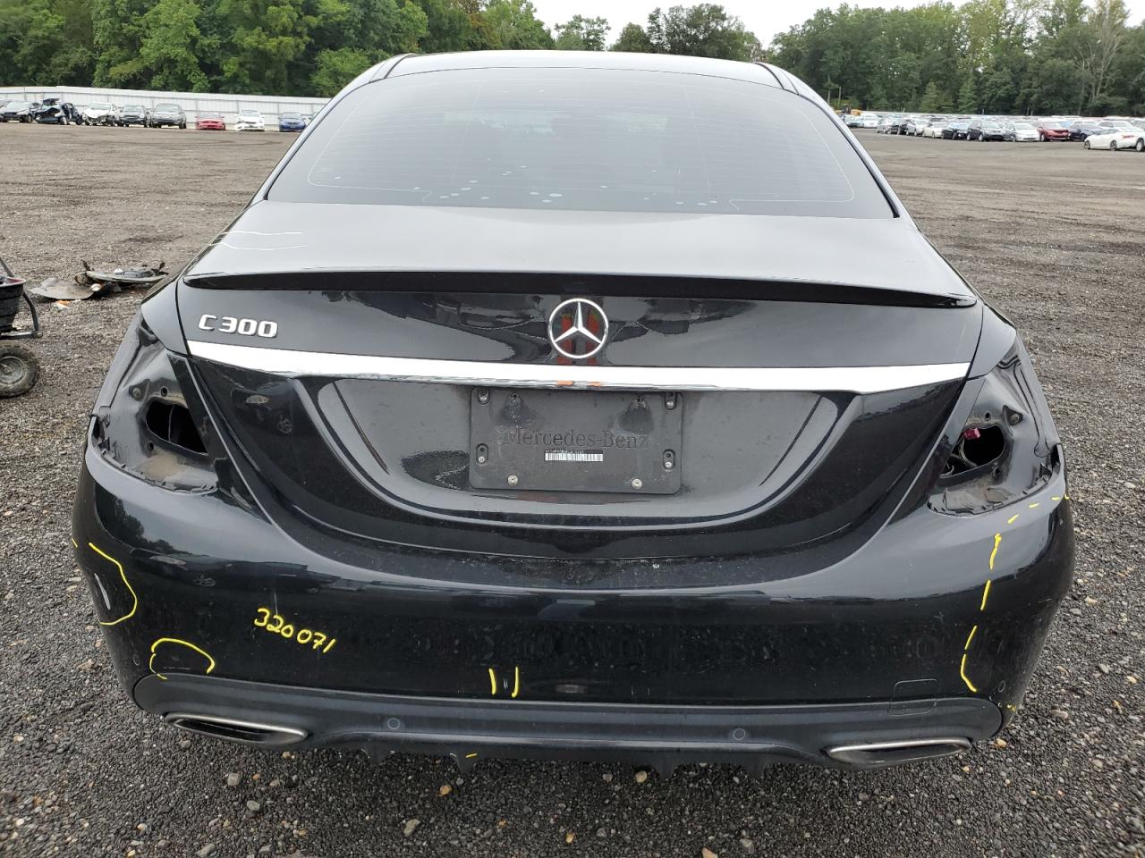 2019 Mercedes-Benz C 300 VIN: 55SWF8DB6KU315262 Lot: 69410445