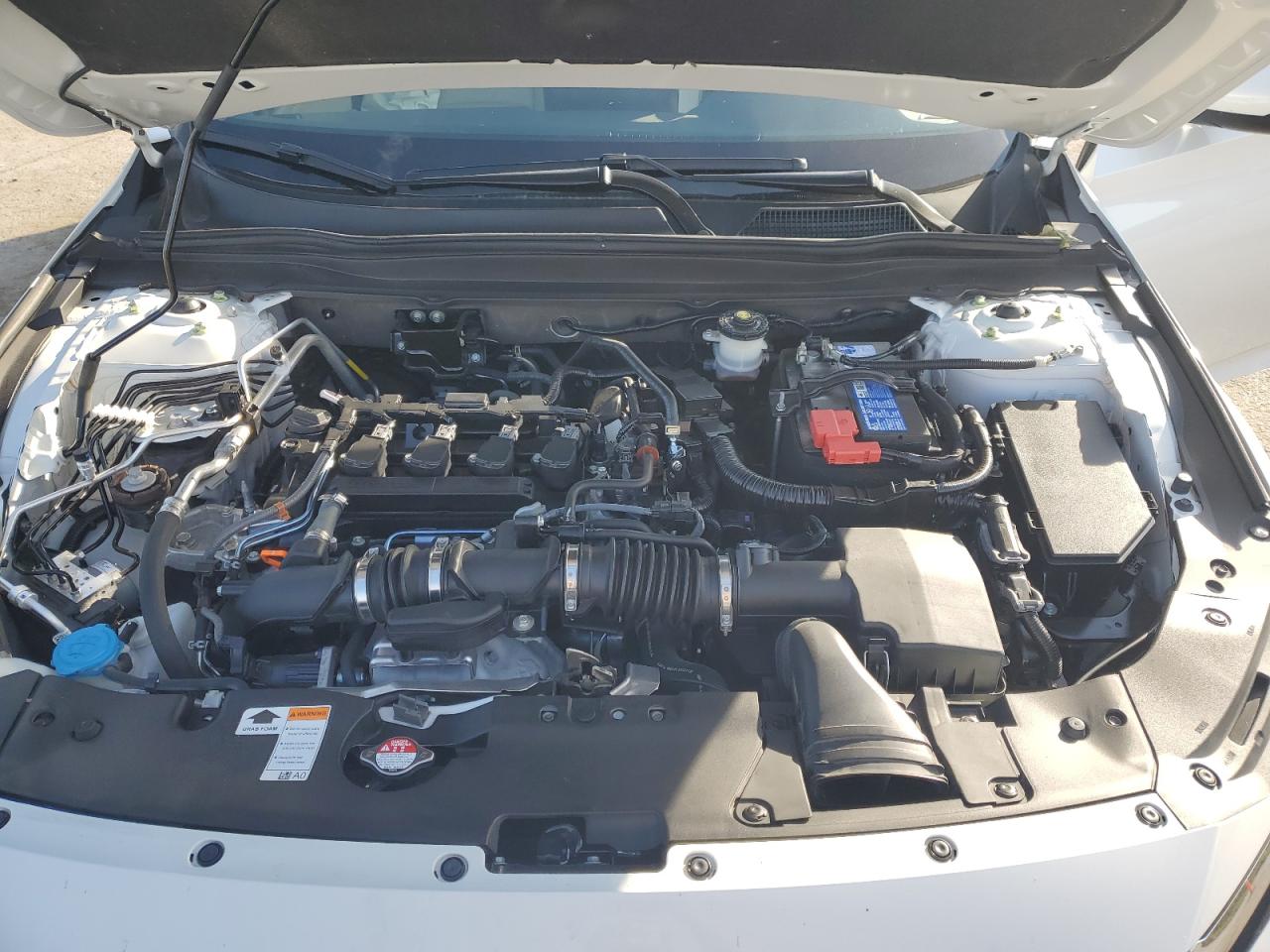 2021 Honda Accord Exl VIN: 1HGCV1F51MA116803 Lot: 70489375