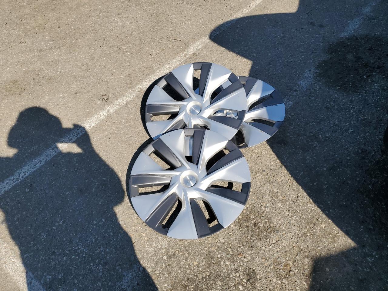 2023 Tesla Model Y VIN: 7SAYGDEE4PA098083 Lot: 69416445