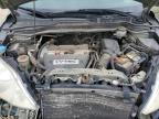 2007 HONDA CR-V LX   for sale at Copart AB - EDMONTON