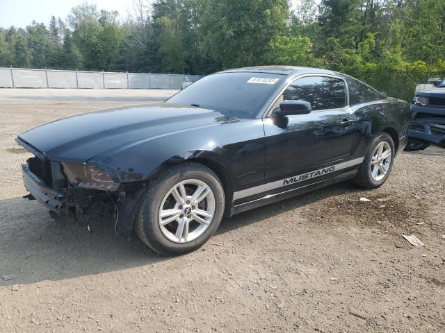 2014 FORD MUSTANG    à vendre chez Copart ON - COOKSTOWN