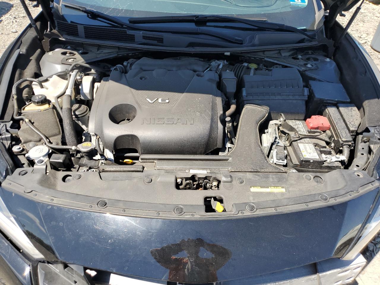 2020 Nissan Maxima Sv VIN: 1N4AA6CV6LC365285 Lot: 69955715