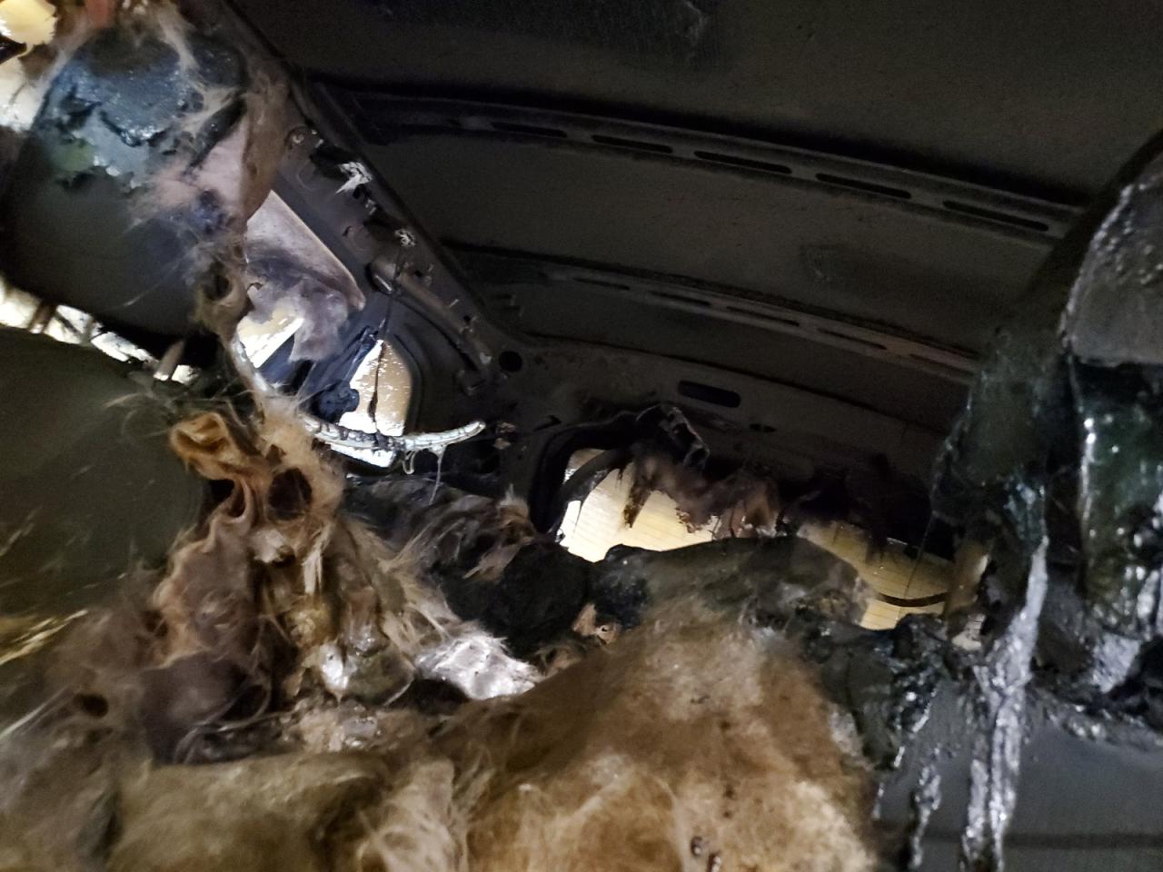 2015 Jeep Cherokee Latitude VIN: 1C4PJMCB4FW774158 Lot: 69181625