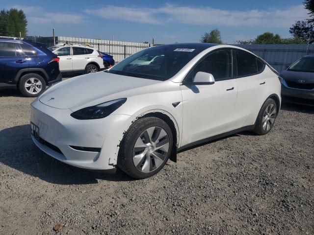  TESLA MODEL Y 2023 White